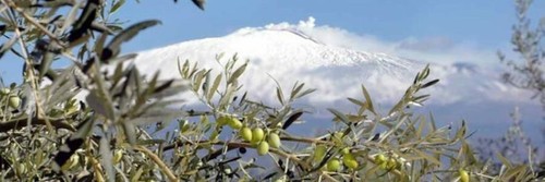 Olio extravergine oliva - extravergine, di