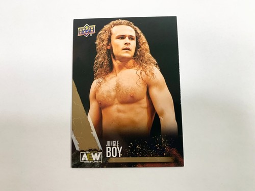 Carta aew jungle boy gold - jungle, 2021