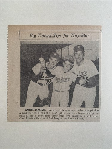 Sal maglie carl erskine - sal, con