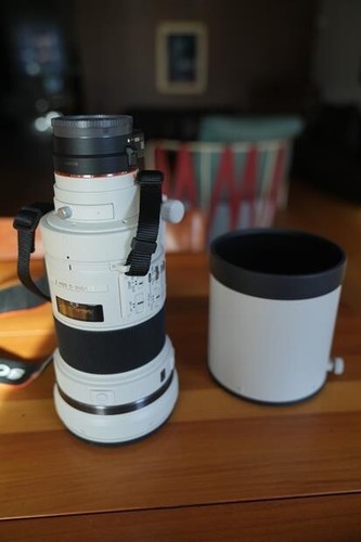 Sony sal 300 - sony, 2
