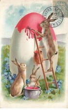 Conigli #MK43554 Uovo Gigante