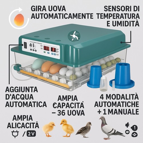 Incubatrice per uova - per,