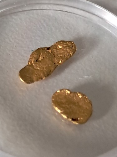Coppia pepite oro - di, d'oro