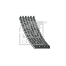Cinghia Poly V Febi Bilstein