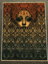 Gothic Lady Hidden Behind