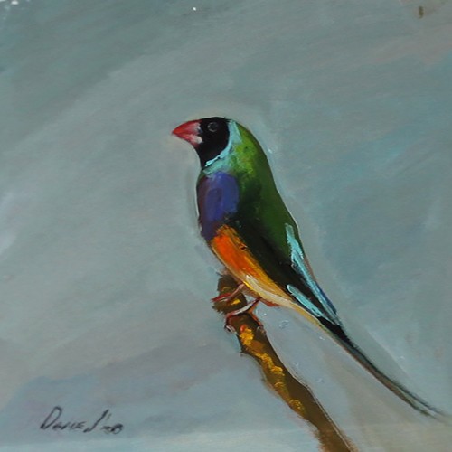 Dipinto olio colorato bird - dipinto,