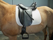 County Dressage Saddle - model