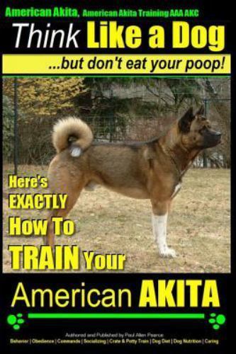 American akita - akita,,