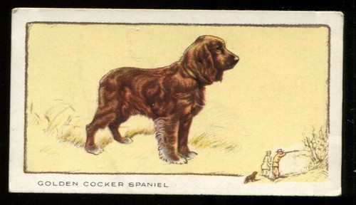 Tobacco card gallaher dogs - tobacco,