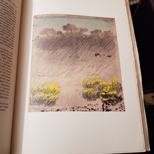 Campiello 1982 antologia - 1982,
