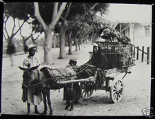 Glass Magic Lantern Slide