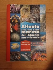 Attilio Rinaldi Atlante Della