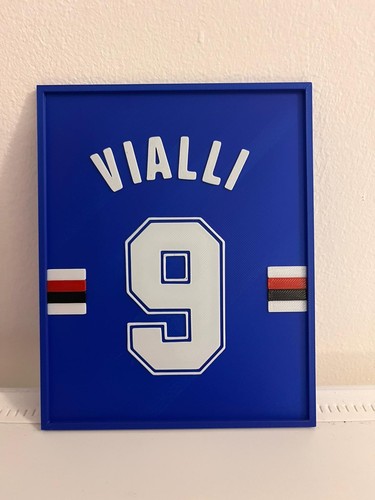 Quadro vialli sampdoria - quadro,