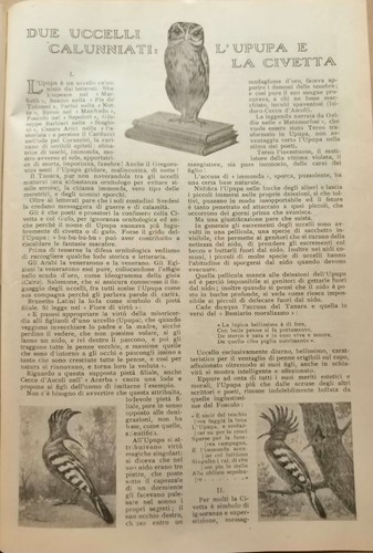 Luigi ghidini due uccelli - luigi,