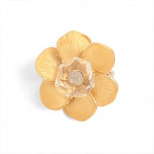 Anello Carrera y Carrera