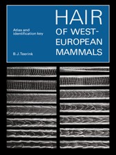 Hair west european mammals - hair,