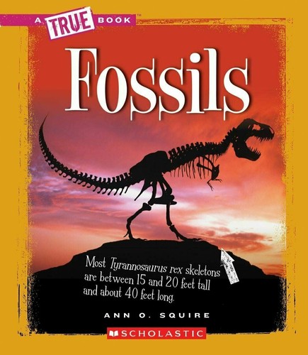 Fossili vero libro - -,