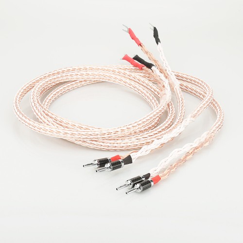 Audiophile end 12tc occ - audiophile,