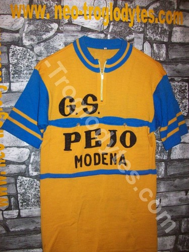 Vintage cycling jersey - vintage, wool