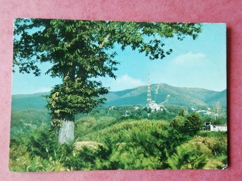 Cartolina gambarie - cartolina,
