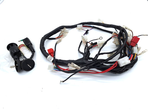 Apache 100cc quad cablaggio - 100cc,