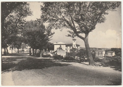 Tolfa roma viale - tolfa,