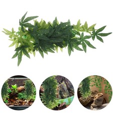  Piante Per Terrario Terraio Rattan Piantatrice Arredamento Acquari Rettili