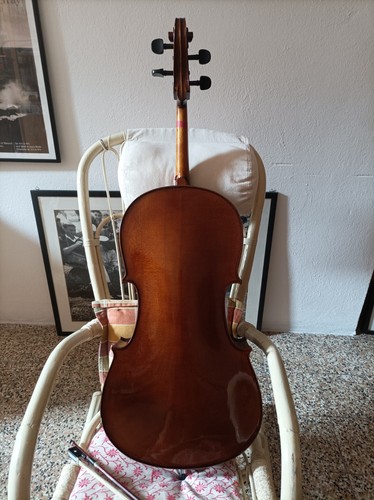 Violoncello stentor studio - stentor, da