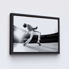 Freddie Mercury, cantante