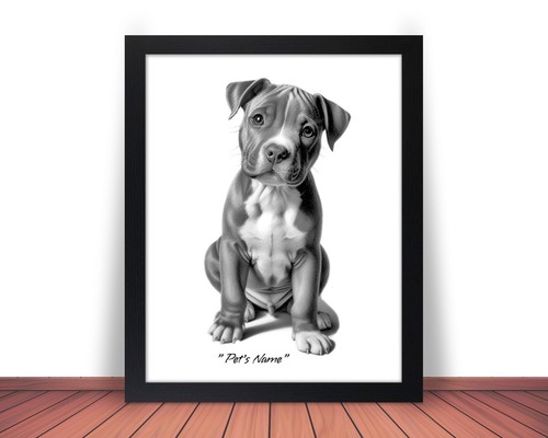Quadro foto cucciolo pit bull - quadro,