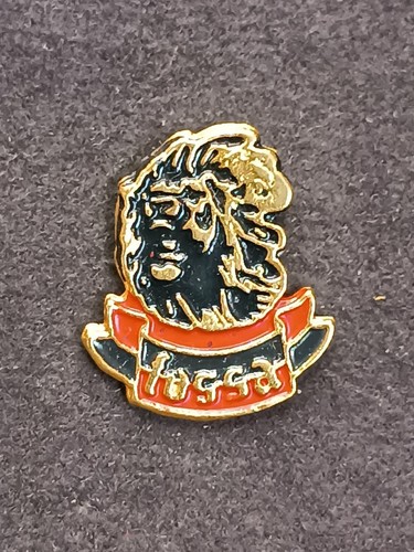 Old pins pin badge spilla - pin,