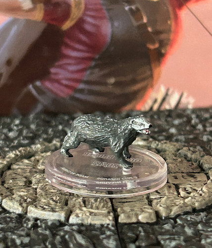 Tasso gigante miniatura - tasso,