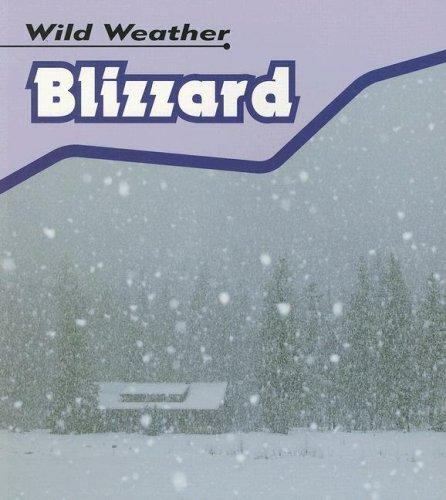 Blizzard - (wild, weather)