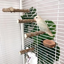 Gabbia per pappagalli con