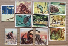 SERIE FIGURINE ANIMALI