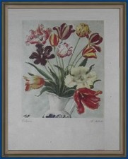 fotolito natura morta vaso di