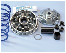 VARIATORE HI-SPEED POLINI