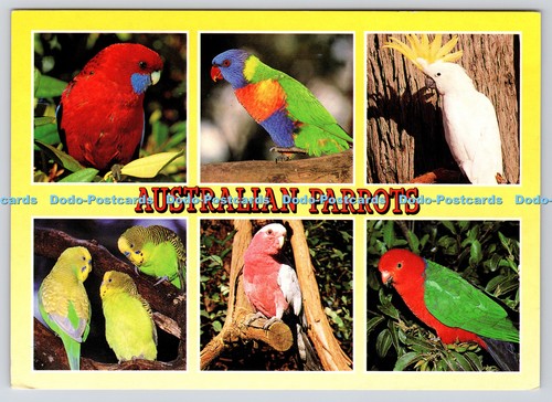 L362815 australian parrots - l362815,