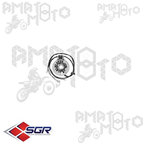 Statore magnete volano sgr - magnete,