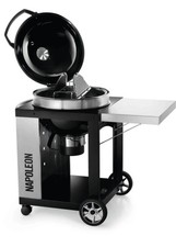 Napoleon Professional 22"