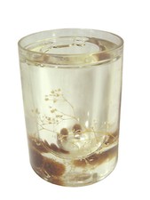 (37192) BOTE PORTALAPICES