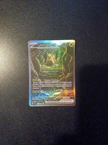 Carta pokemon chien ex - wo-chien,