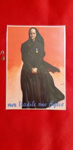 Rsi non tradite mio figlio - "non,