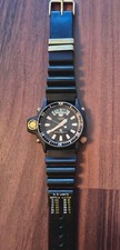 Citizen Aqualand Titanium C028