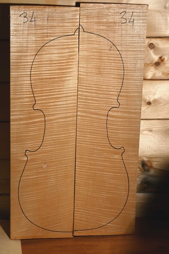 Legno per violoncello acero
