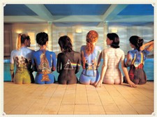 Pink floyd back catalogue - pink,