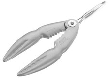 Pinza aragosta crostacei rompi