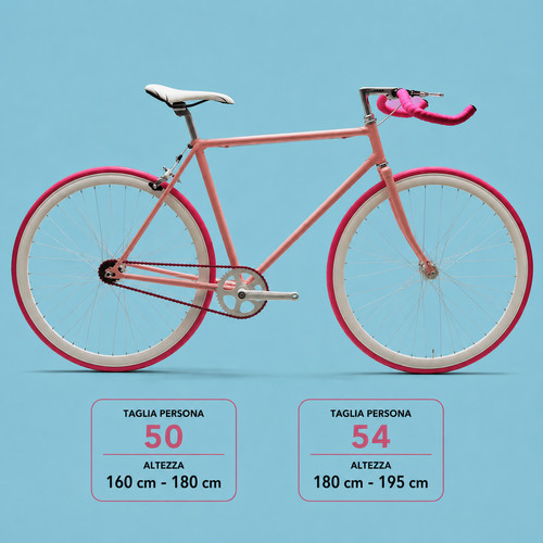 Fixed bike rosa - bike,