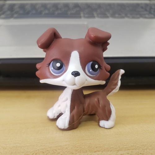 Raro mini pet collezione lps - raro,