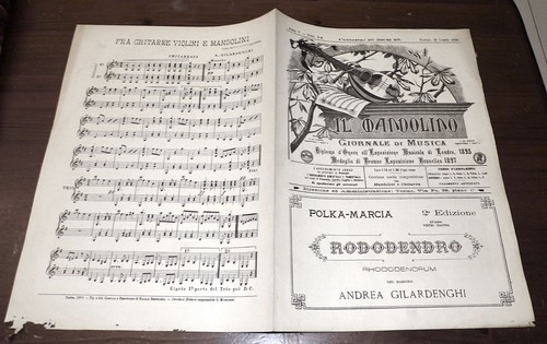 Mandolino del 1899 - mandolino,